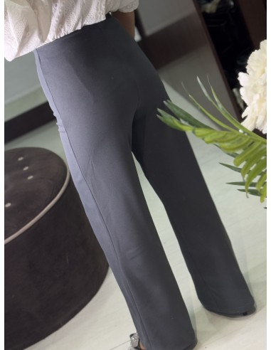 Pantalon 881Gris