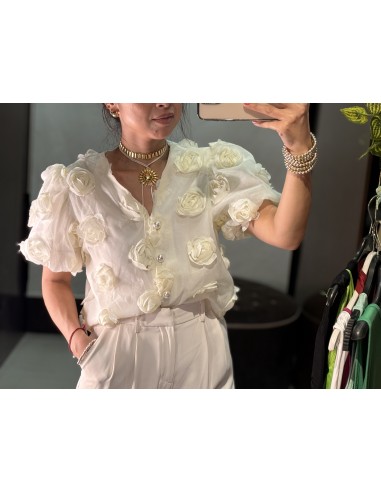 Top Rosas 946